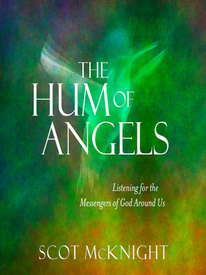 cover image of The Hum of Angels